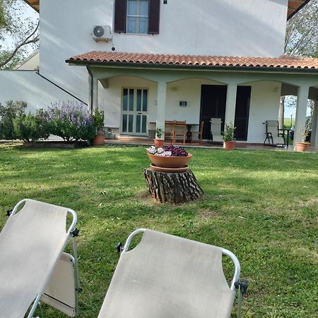 Agriturismo Uliveto Gretacci Montemerano Dış mekan fotoğraf