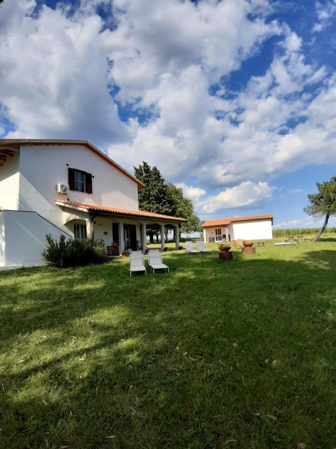 Agriturismo Uliveto Gretacci Montemerano Dış mekan fotoğraf