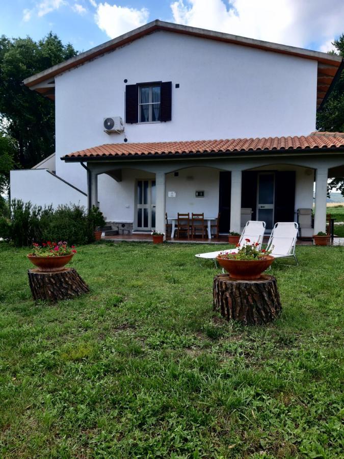 Agriturismo Uliveto Gretacci Montemerano Dış mekan fotoğraf