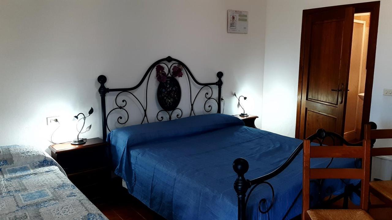 Agriturismo Uliveto Gretacci Montemerano Dış mekan fotoğraf