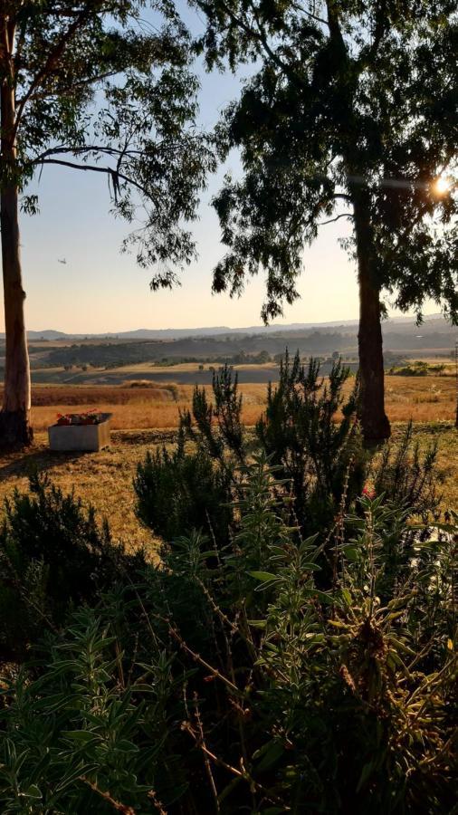 Agriturismo Uliveto Gretacci Montemerano Dış mekan fotoğraf