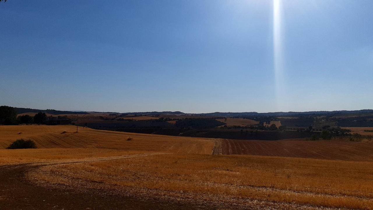 Agriturismo Uliveto Gretacci Montemerano Dış mekan fotoğraf