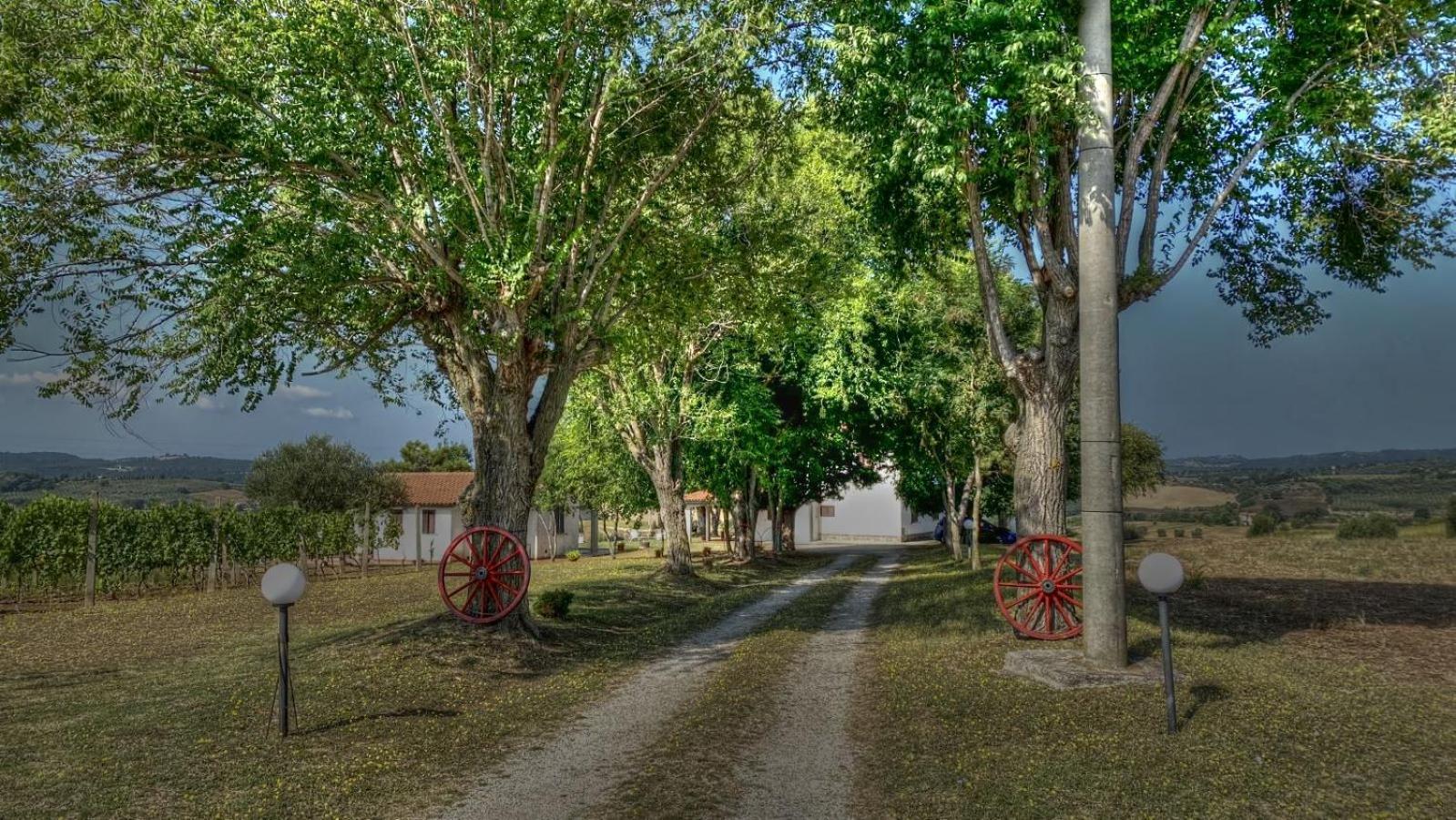 Agriturismo Uliveto Gretacci Montemerano Dış mekan fotoğraf