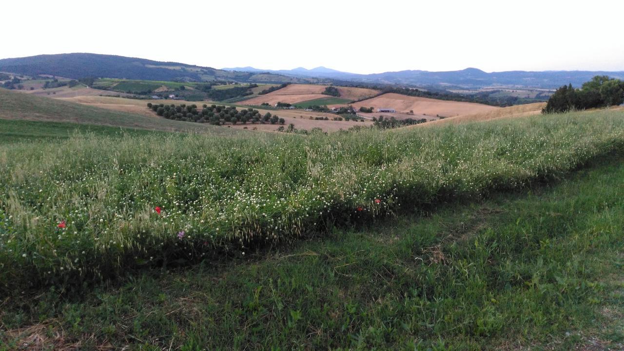 Agriturismo Uliveto Gretacci Montemerano Dış mekan fotoğraf