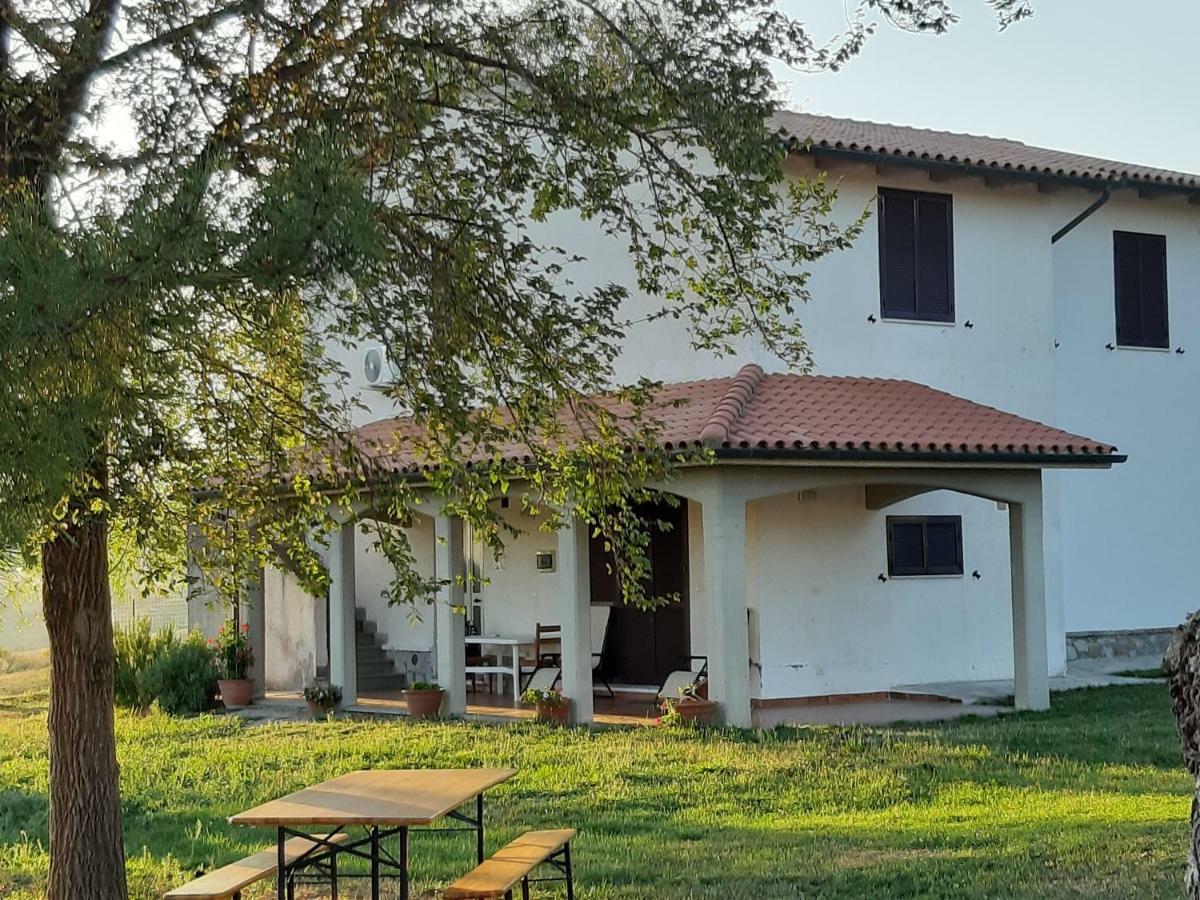 Agriturismo Uliveto Gretacci Montemerano Dış mekan fotoğraf