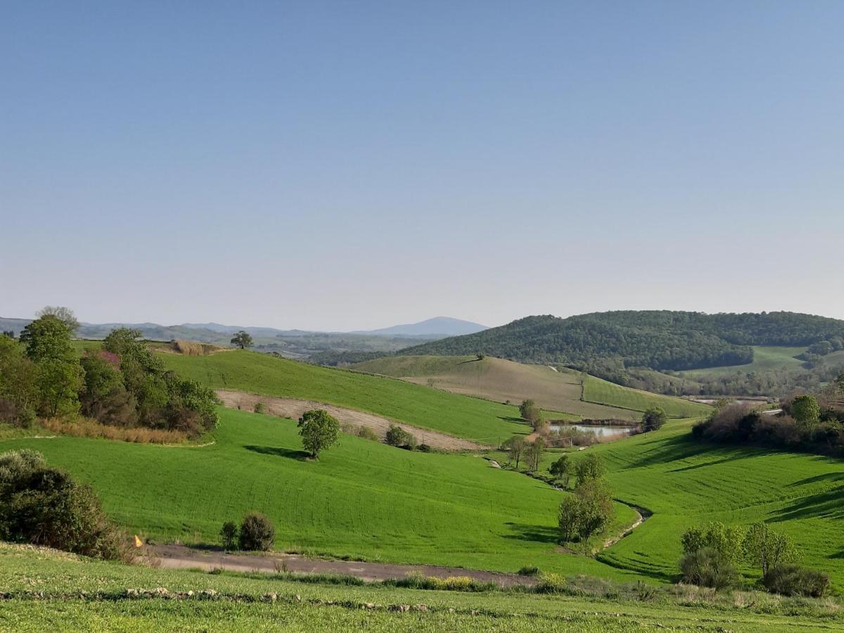 Agriturismo Uliveto Gretacci Montemerano Dış mekan fotoğraf