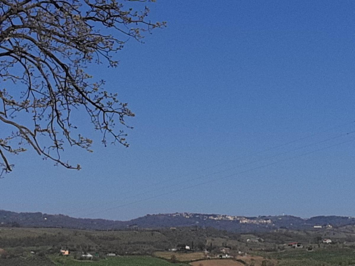 Agriturismo Uliveto Gretacci Montemerano Dış mekan fotoğraf